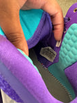 8.5M Nike LeBron 9 Summit Lake Hornets (GS)