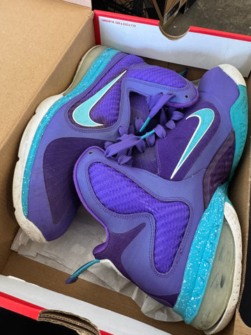 8.5M Nike LeBron 9 Summit Lake Hornets (GS)